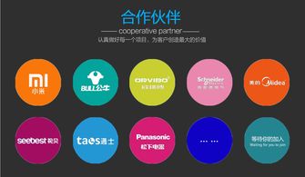 迅速開發(fā)與運營 智能電器產(chǎn)品的電子商務(wù)平臺模式探析